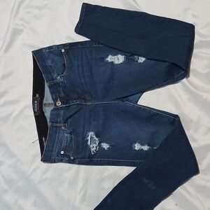Torrid Distressed Blue Jeans